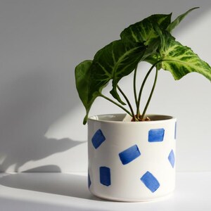 May include: A white ceramic plant pot with a blue square pattern, holding a green plant with large leaves. The pot is cylindrical and sits on a white surface. The plant has multiple stems and is in the center of the pot.