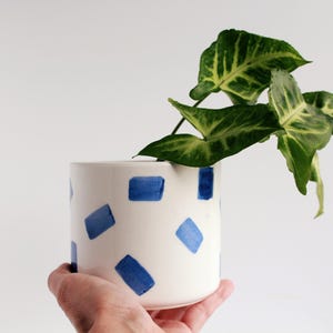 May include: A white ceramic planter with a blue geometric pattern, holding a green plant with variegated leaves. The planter is cylindrical and is held by a person's hand.