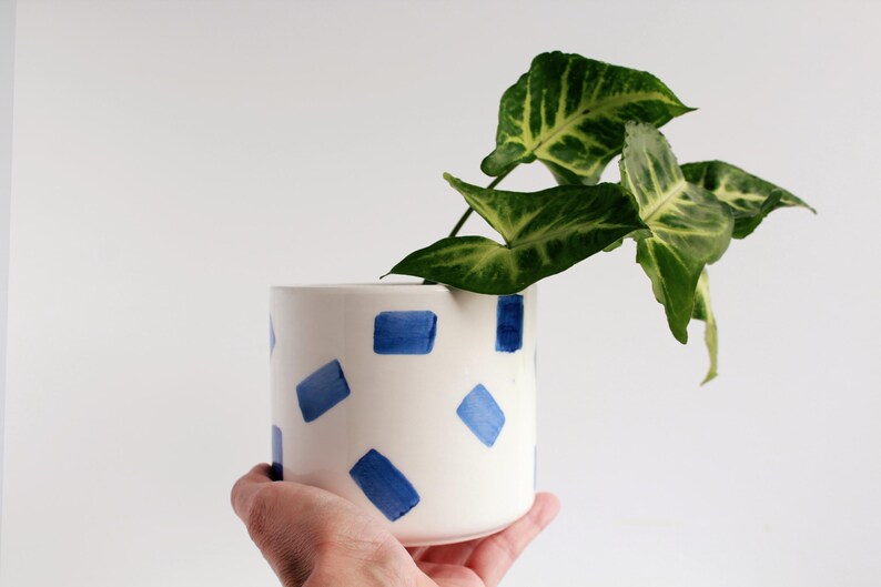 May include: A white ceramic planter with a blue geometric pattern, holding a green plant with variegated leaves. The planter is cylindrical and is held by a person's hand.