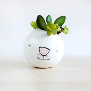 Cat ceramic Planter with cute cat face, Pottery cat planter for succulent, Ceramic animal flower pot, Ceramics pottery, Cute animal planters