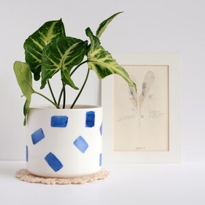May include: A white ceramic planter with blue brushstroke designs holds a green plant with variegated leaves. A framed botanical print rests beside the planter, and a crocheted coaster sits beneath the planter.