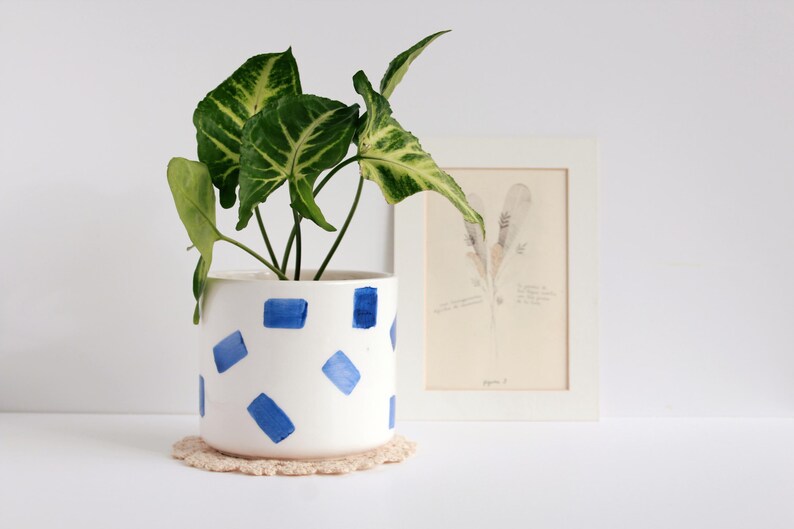May include: A white ceramic planter with blue brushstroke designs holds a green plant with variegated leaves. A framed botanical print rests beside the planter, and a crocheted coaster sits beneath the planter.