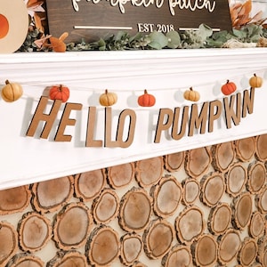 Cardboard Letters and Numbers: From Small to Large, Affordable Custom Options for Crafting