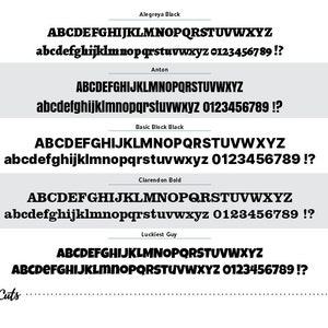 font choices for thin plastic yard sign letters