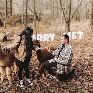 Marry Me Sign | White Thin Plastic Letters | Temporary Outdoor Signs | Coroplast Letters | Proposal Letters | Engagement  | Yard Stakes