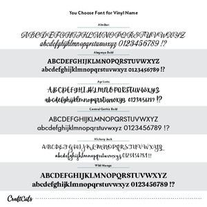 font choices for vinyl names