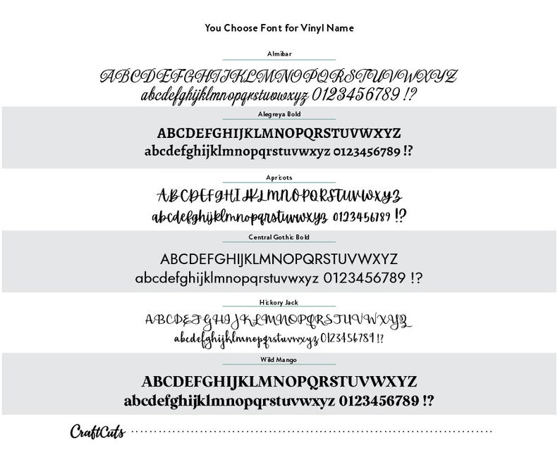 font choices for vinyl names