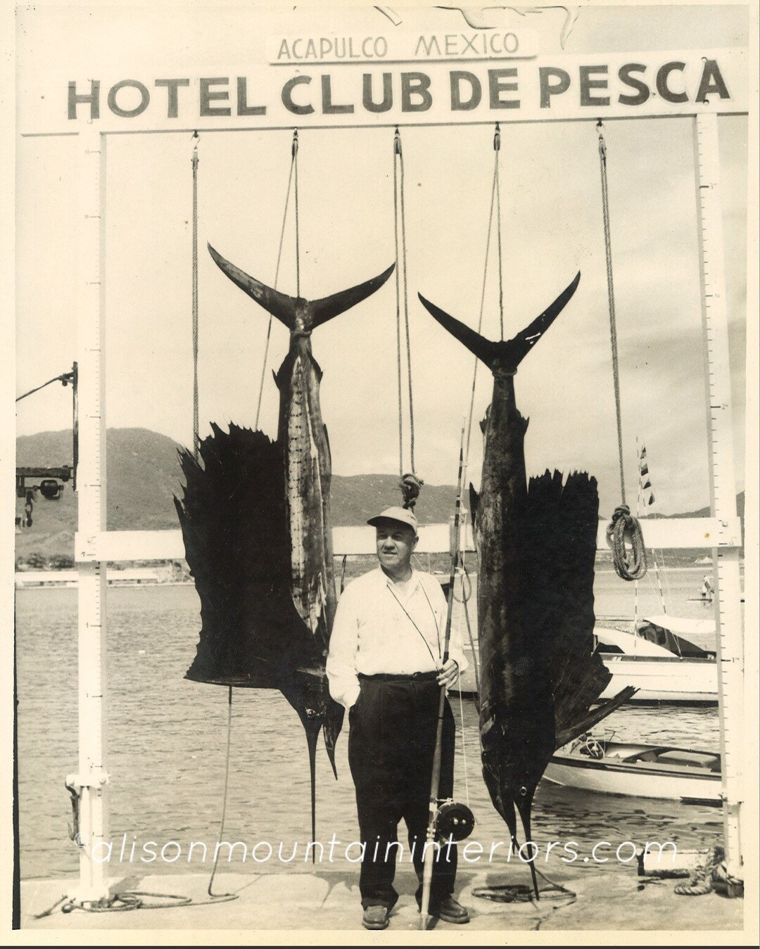 Vintage Acapulco Fishing Print Etsy
