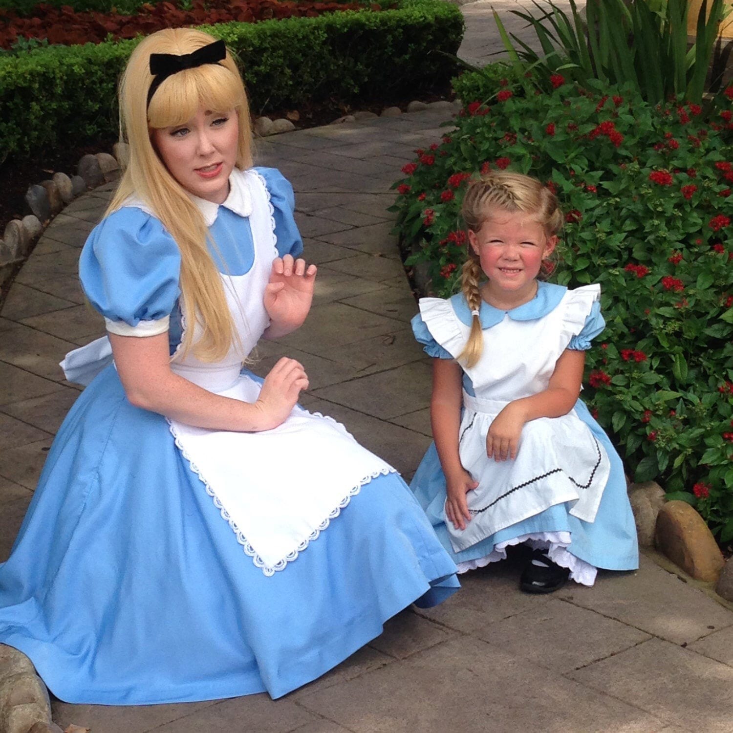 Alice in Wonderland Costume - Etsy