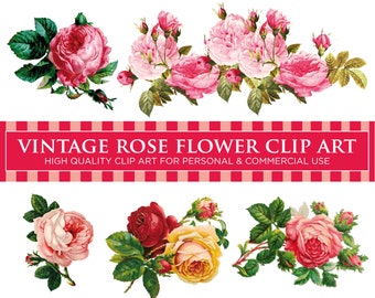 VINTAGE ROSE FLOWERS x 5 (Pack No. 1) - Floral Digital Clip Art Graphics for Personal or Commercial Use