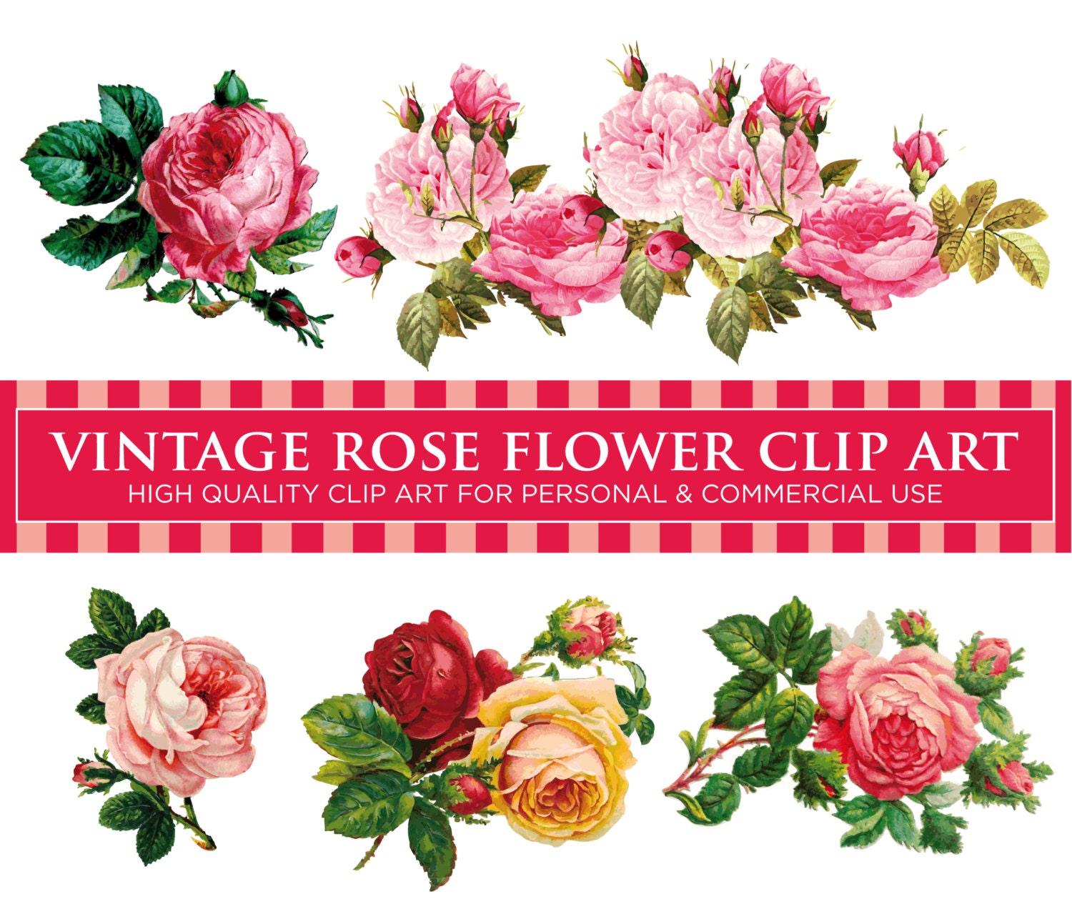 Vintage Rose Clip Art