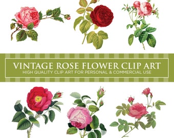 VINTAGE ROSE FLOWERS x 6 (Pack No. 4) - Floral Digital Clip Art Graphics for Personal or Commercial Use