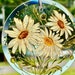 see more listings in the Suncatchers section