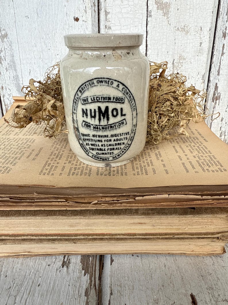 Rare Numol Mini Pot From England - Etsy