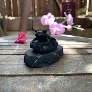 Shungite Toad Frog Kambo Statue Figurine