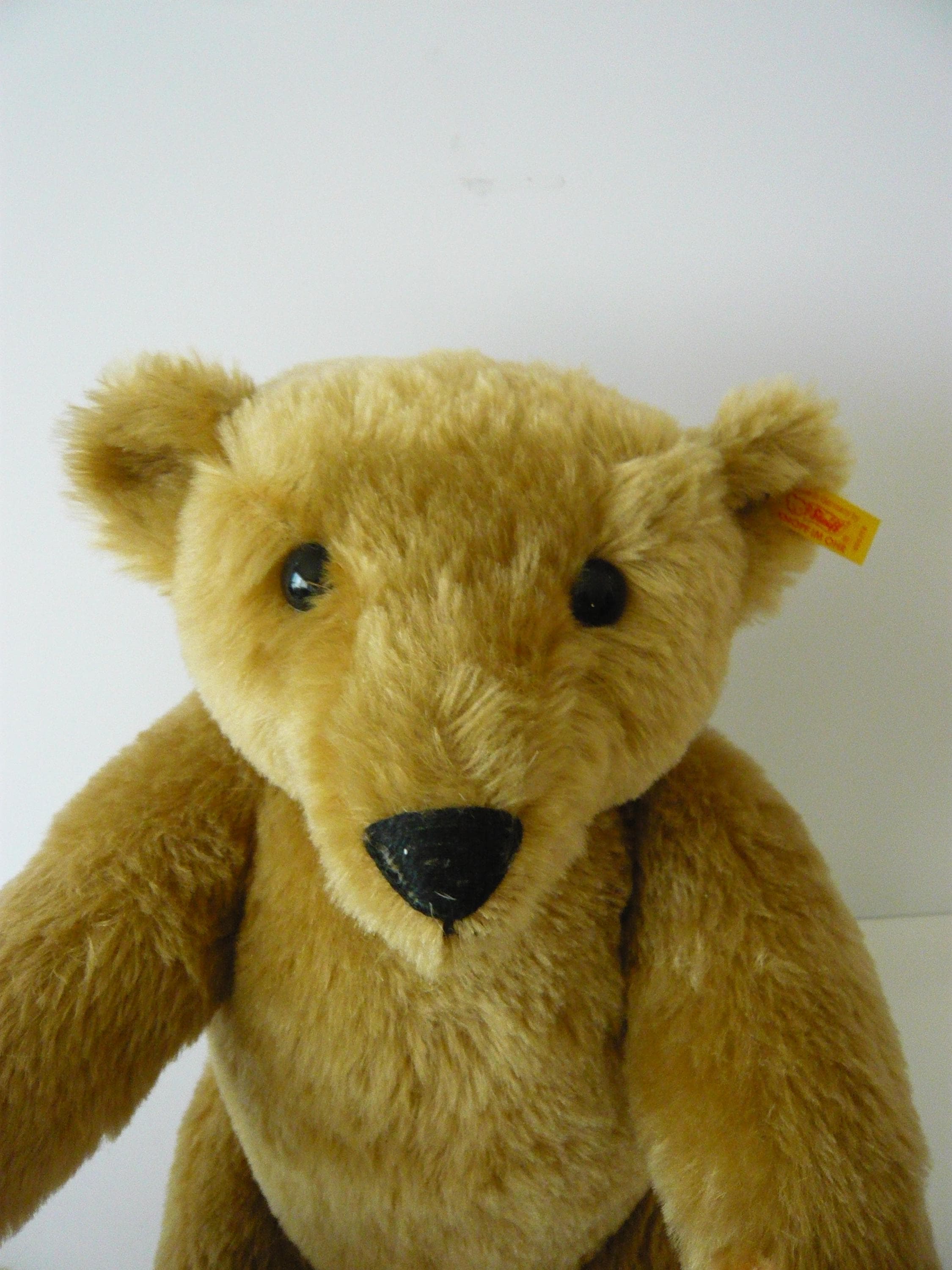 Steiff Teddy 1906 Classic KNOOPF IM OHR (button in Ear) 000256 - Etsy