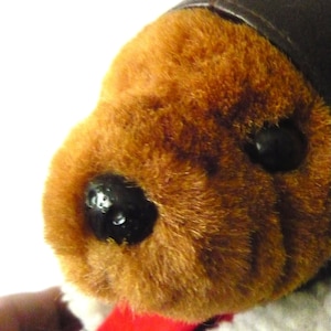 Collectible Teddy Bear Born to Fly USA Aviator image 2