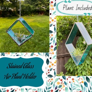 Planta de aire, soporte para planta de aire, soportes para planta de aire de vidrio de colores, planta, jardín, decoración del hogar, personalizado, hogar y vida, plantas de interior.