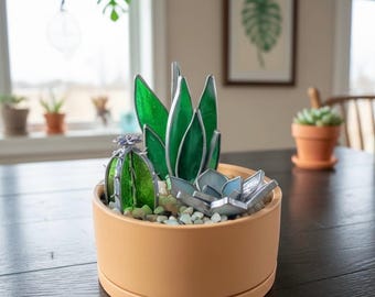 Puede incluir: Una maceta de cerámica con suculentas de vidrio, incluyendo un cactus, aloe vera y una suculenta azul-gris. La maceta está llena de guijarros y se encuentra sobre una mesa de madera oscura. La maceta es de color naranja claro.
