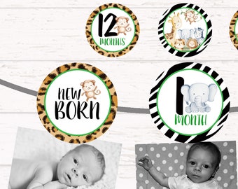 Jungle First Birthday Montly photo banner, Jungle Safari picture banner, Jungle first birthday party decorations, Jungle baby animals HM952