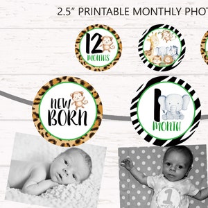 Jungle First Birthday Montly photo banner, Jungle Safari picture banner, Jungle first birthday party decorations, Jungle baby animals HM952