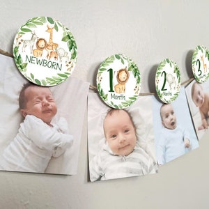 Jungle Safari 12 month photo banner, Jungle First Birthday Photo Banner, Safari Picture Banner Baby's first year, jungle Safari banner HM952