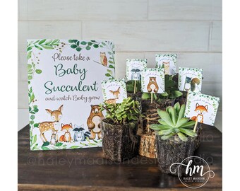 mini succulent baby shower favors