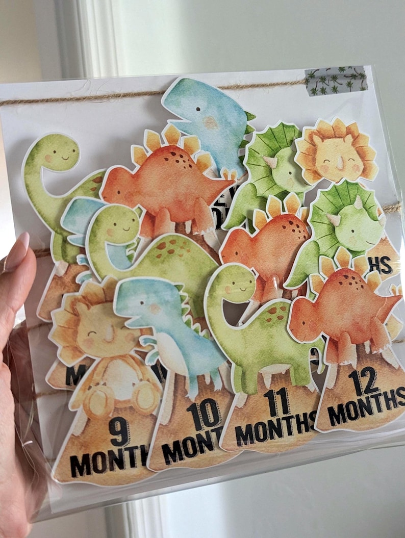 May include: A set of 12 colorful dinosaur-themed monthly milestone cards. Each card features a different dinosaur illustration and the number of months, from 1 to 12. The cards are strung together with twine.