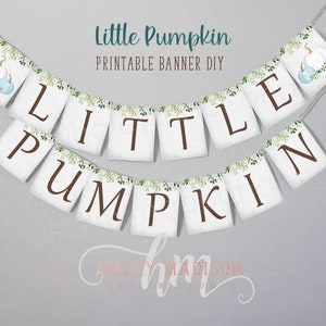PRINTABLE Little Pumpkin Banner, Blue Little Pumpkin baby shower banner, little pumpkin decorations, boy little pumpkin banner HM313
