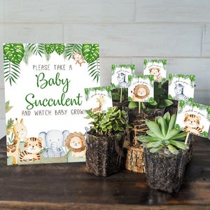 Jungle Baby favors, 8x10 sign and Tags, Watch baby grow succulent favors, Jungle Safari favors, baby shower favors,