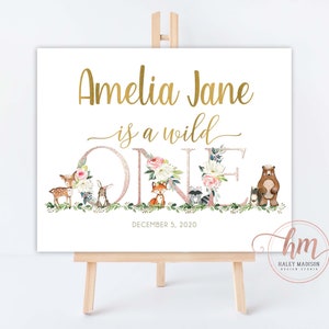 Girl Woodland Wild One Welcome sign, Woodland First Birthday Welcome Sign, Woodland party welcome sign, woodland party decor, woodland sign