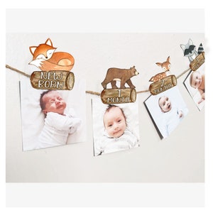 May include: A woodland-themed baby milestone photo banner with a brown bear, a fox, a deer, and a raccoon. The banner includes the words "New Born", "1 Month", "2 Months", and "3 Months".