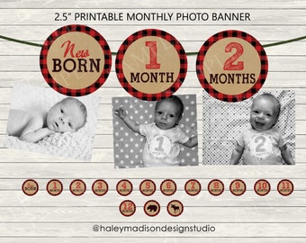 Lumberjack 12 Month Photo Birthday Banner, Lumberjack banner, First year photo banner DIGITAL FILE