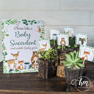 Woodland Baby Succulent favors, Watch baby grow succulent favor woodland baby shower favors, baby shower favors, Succulent Bar sign and tags