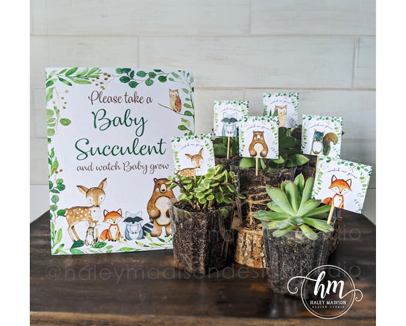May include: A sign with the text "Please take a Baby Succulent and watch Baby grow" is surrounded by a green leaf border. Small potted succulents are displayed with woodland animal toppers. The theme is a baby shower or woodland-themed event.