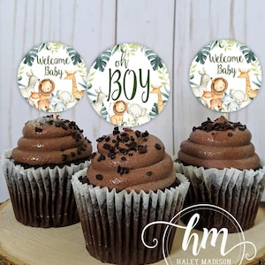 May include: Three chocolate cupcakes with chocolate sprinkles on top, each topped with a round baby shower cupcake topper. The toppers feature a jungle animal theme with the text "Welcome Baby", "Oh Boy", and "Welcome Baby".