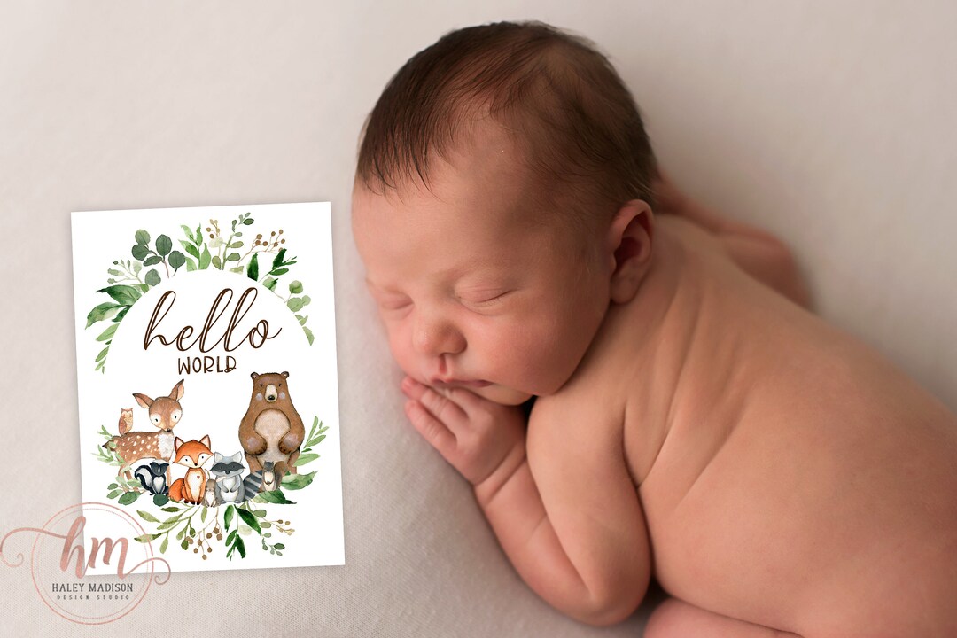 Woodland Milestone Cards, Baby Milestone Cards, Baby Photo Props ...