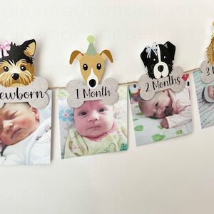Puppy Pawty GIRL 12 month photo banner, Puppy First Birthday Photo Banner, Puppy Pawty Picture Banner, Baby&#39;s first year, Girl Puppy HM868