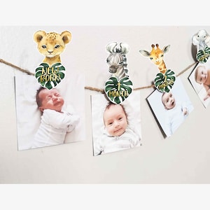 Jungle Safari 12 month photo banner, Jungle First Birthday Photo Banner, Safari Picture Banner Baby&#39;s first year, jungle Safari banner HM952