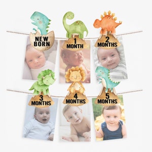 May include: A baby milestone photo banner with dinosaur illustrations and a photo of a baby at each month. The banner includes the text "New Born", "1 Month", "2 Months", "3 Months", "4 Months", and "5 Months".