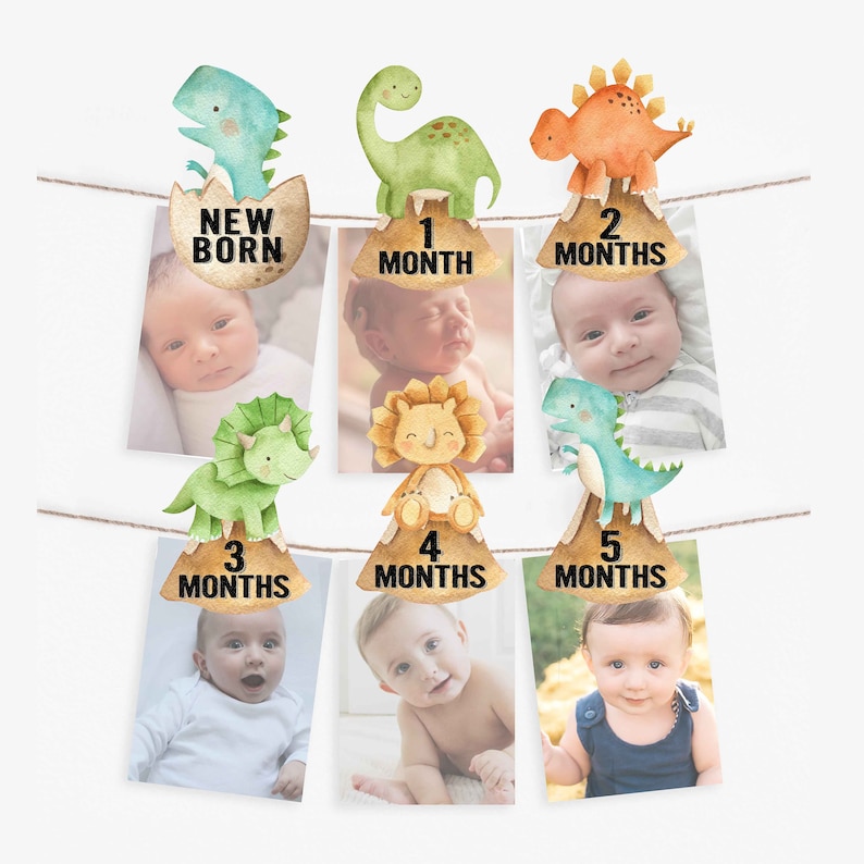 May include: A baby milestone photo banner with dinosaur illustrations and a photo of a baby at each month. The banner includes the text "New Born", "1 Month", "2 Months", "3 Months", "4 Months", and "5 Months".