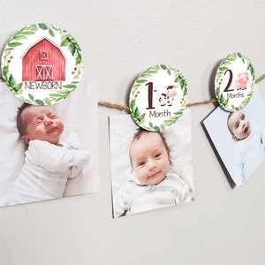12 month Farm photo birthday banner, 2.5&quot; Farm Greenery Monthly photo banner, Farm First Birthday Party banner decor, Baby&#39;s first year