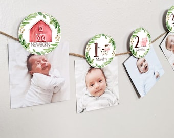 12 month Farm photo birthday banner, 2.5" Farm Greenery Montly photo banner, Farm First Birthday Party banner decor, Baby's first year