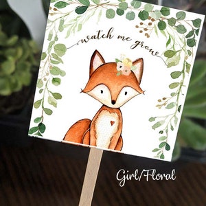 May include: A square sign with a watercolor illustration of a fox with a floral crown and a heart on its chest. The sign has the text "watch me grow" and is surrounded by green leaves. The words "Girl/Floral" are written at the bottom.