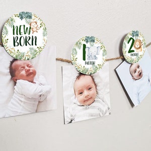 Jungle Greenery 12 month photo banner, Jungle First Birthday Photo Banner, Safari Picture Banner Baby&#39;s first year, jungle banner HM952