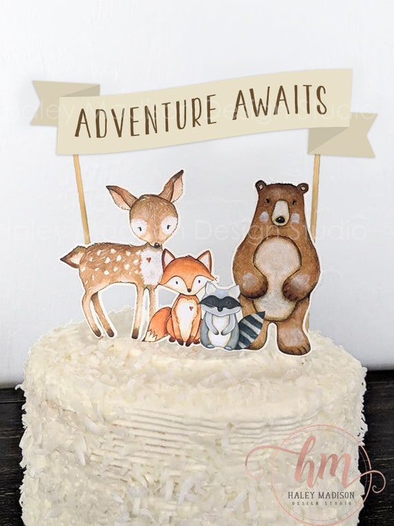 adventure awaits baby shower cake