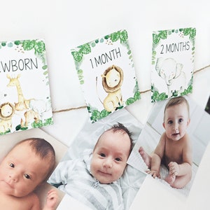Jungle Safari 12 month photo banner, Jungle First Birthday Photo Banner, Safari Picture Banner Baby&#39;s first year jungle Safari banner HM952