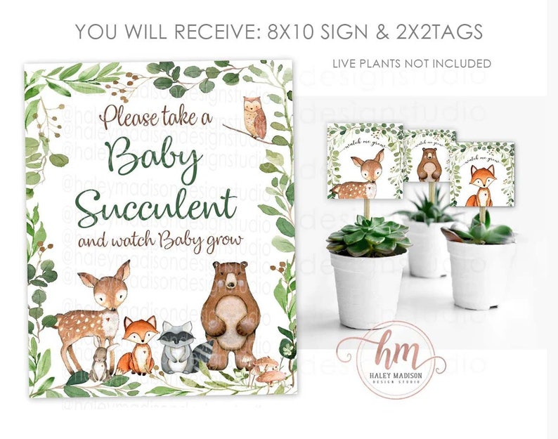 May include: A sign with the text "Please take a Baby Succulent and watch Baby grow" surrounded by green leaves and woodland animal illustrations. Includes 2x2 tags with animal illustrations.