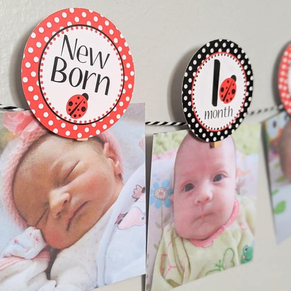 Ladybug Monthly Photo banner, Ladybug First birthday photo banner, Ladybug First year picture sign, New born to 12 Months photo banner