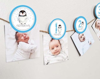 Winter Penguin 12 month photo banner, Onderland First Birthday Photo Banner, Penguin Picture Banner, Baby's first year, Winter Penguin Baby